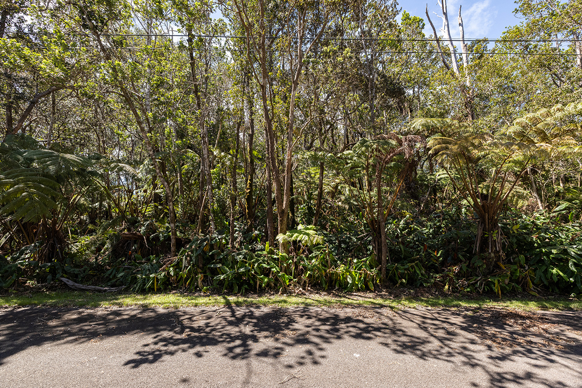 949 11th Street Volcano, HI 96785 - Photo 5 of 7