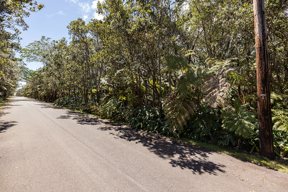 949 11th Street Volcano, HI 96785 - Photo 6 of 7