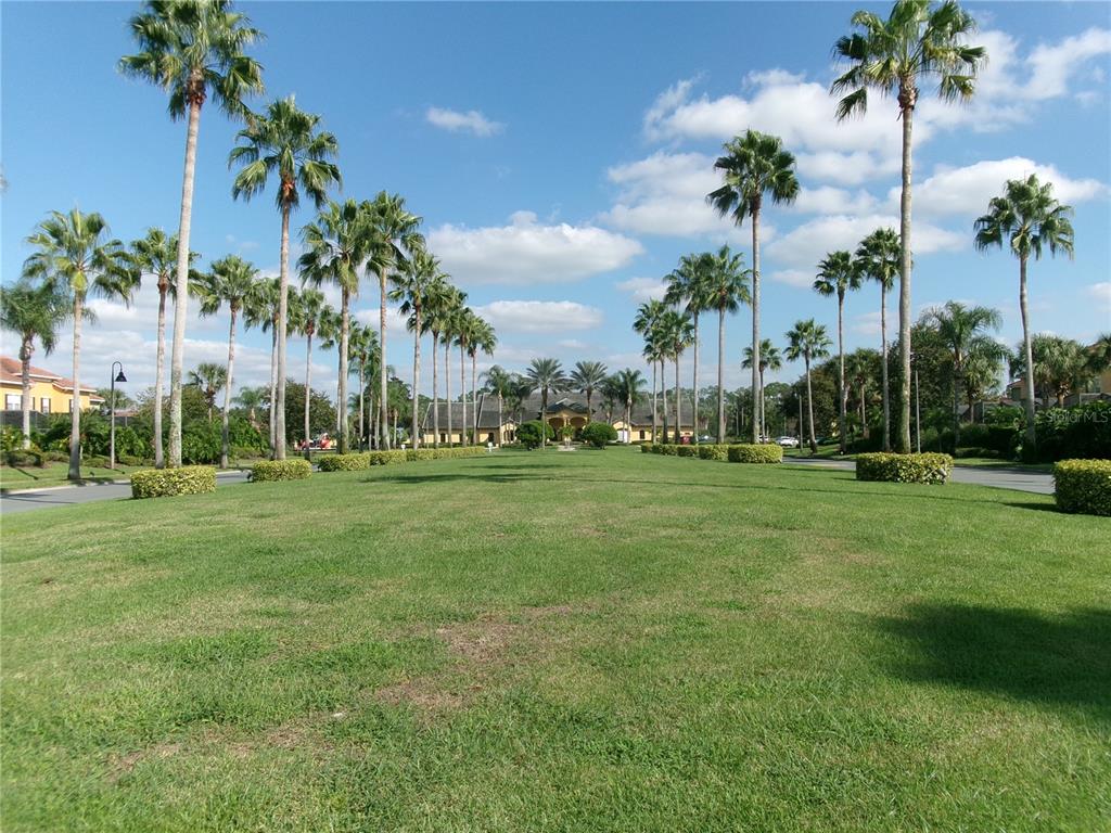 8969 Majesty Palm Road Kissimmee, FL 34747 - Photo 4 of 47