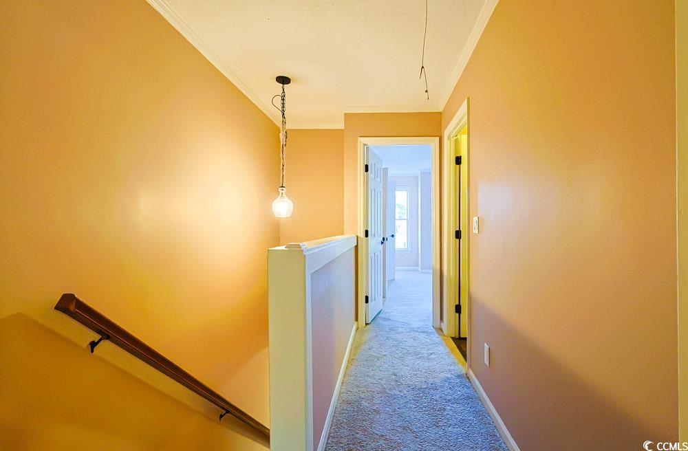 4840 Moss Creek Loop, Unit 3 Murrells Inlet, SC 29576 - Photo 18 of 40 Hallway with an upstairs landing, crown molding, carpet, and attic access