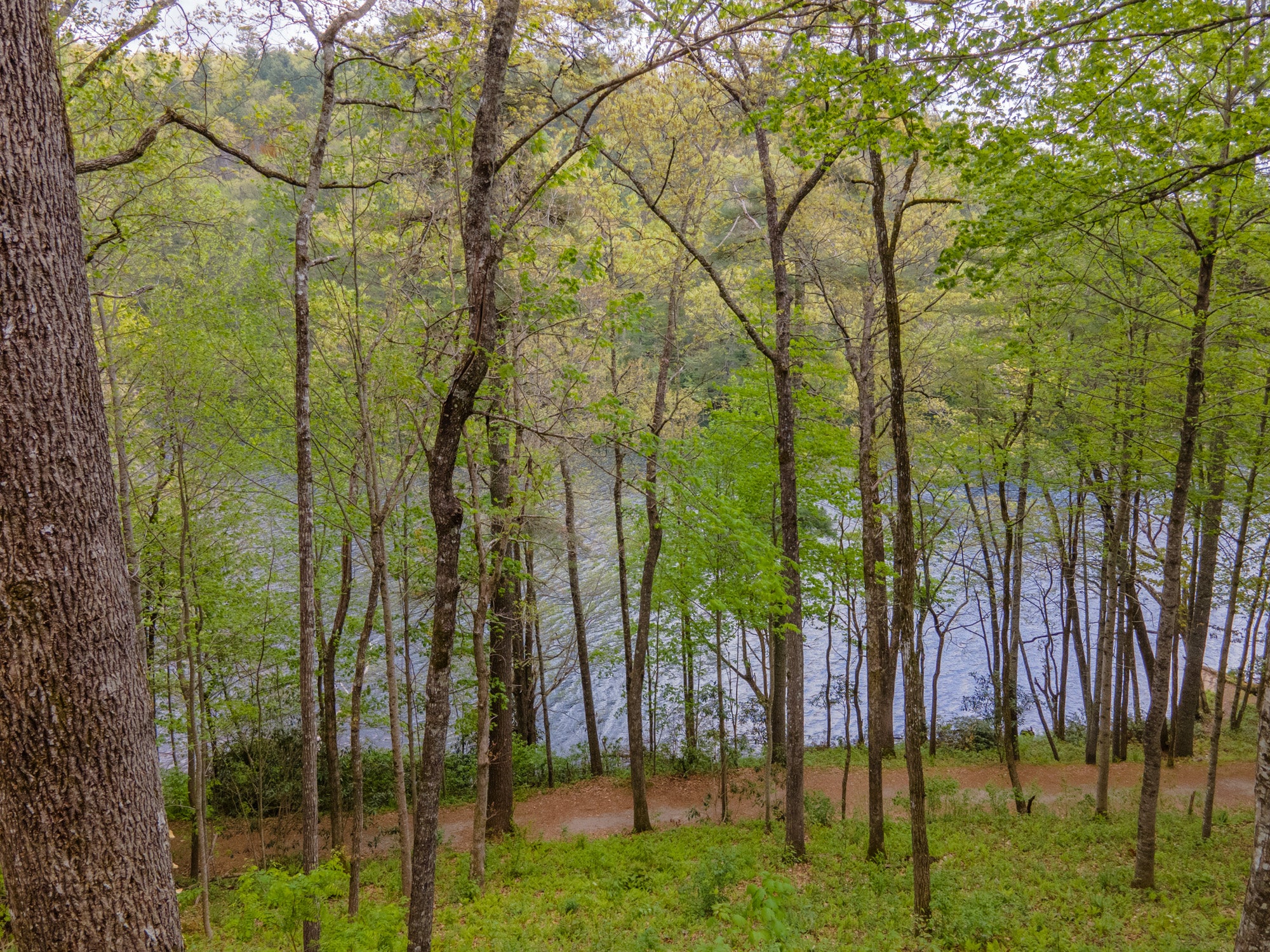 151-1B Overlook Road, Unit B Sapphire, NC 28774 - Photo 4 of 44 Gallery Image 4
