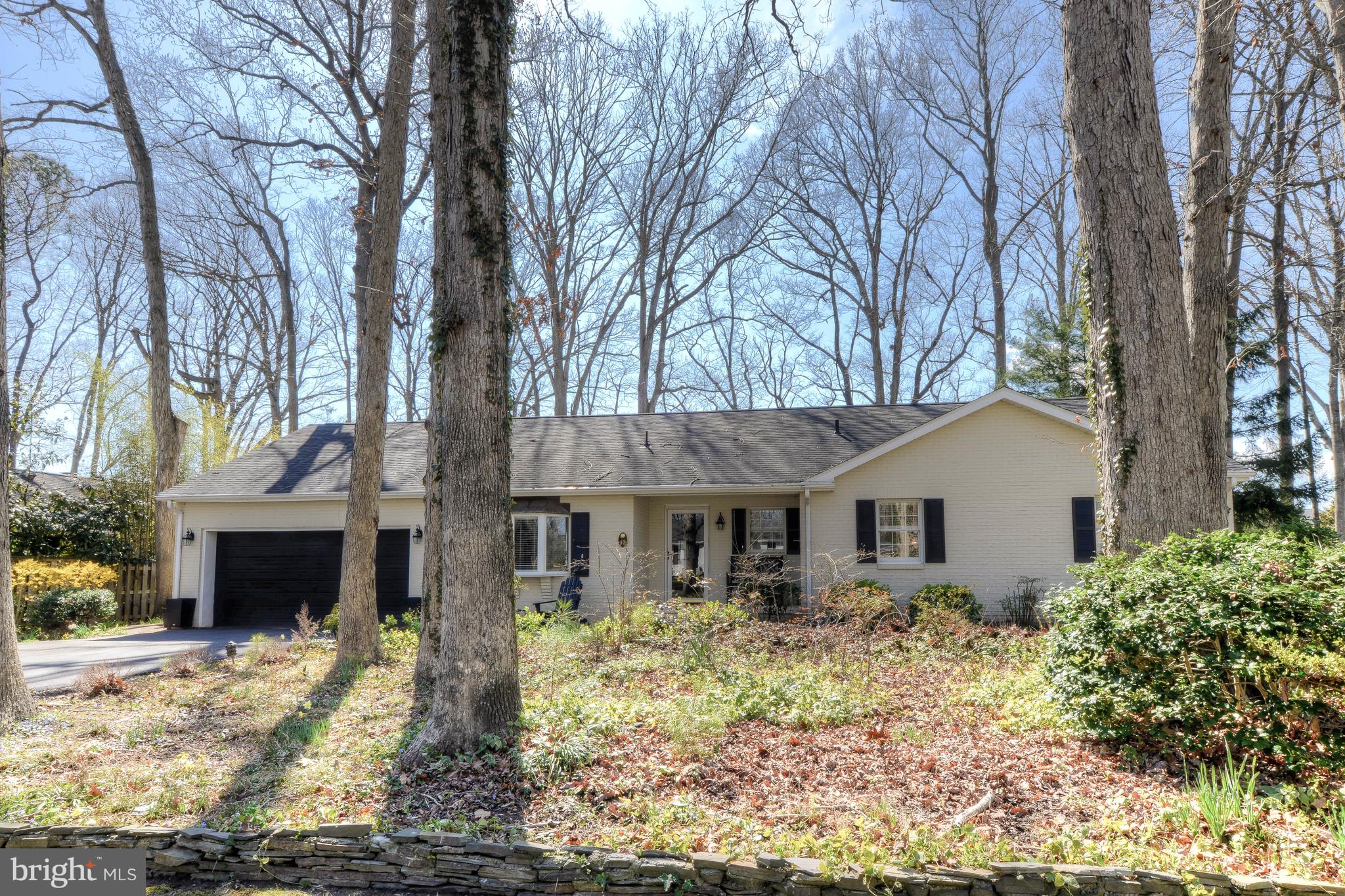 12 Kingsbridge Road Rehoboth Beach, DE 19971 - Photo 2 of 24 Great Wooded Lot- over 1/3 Acre