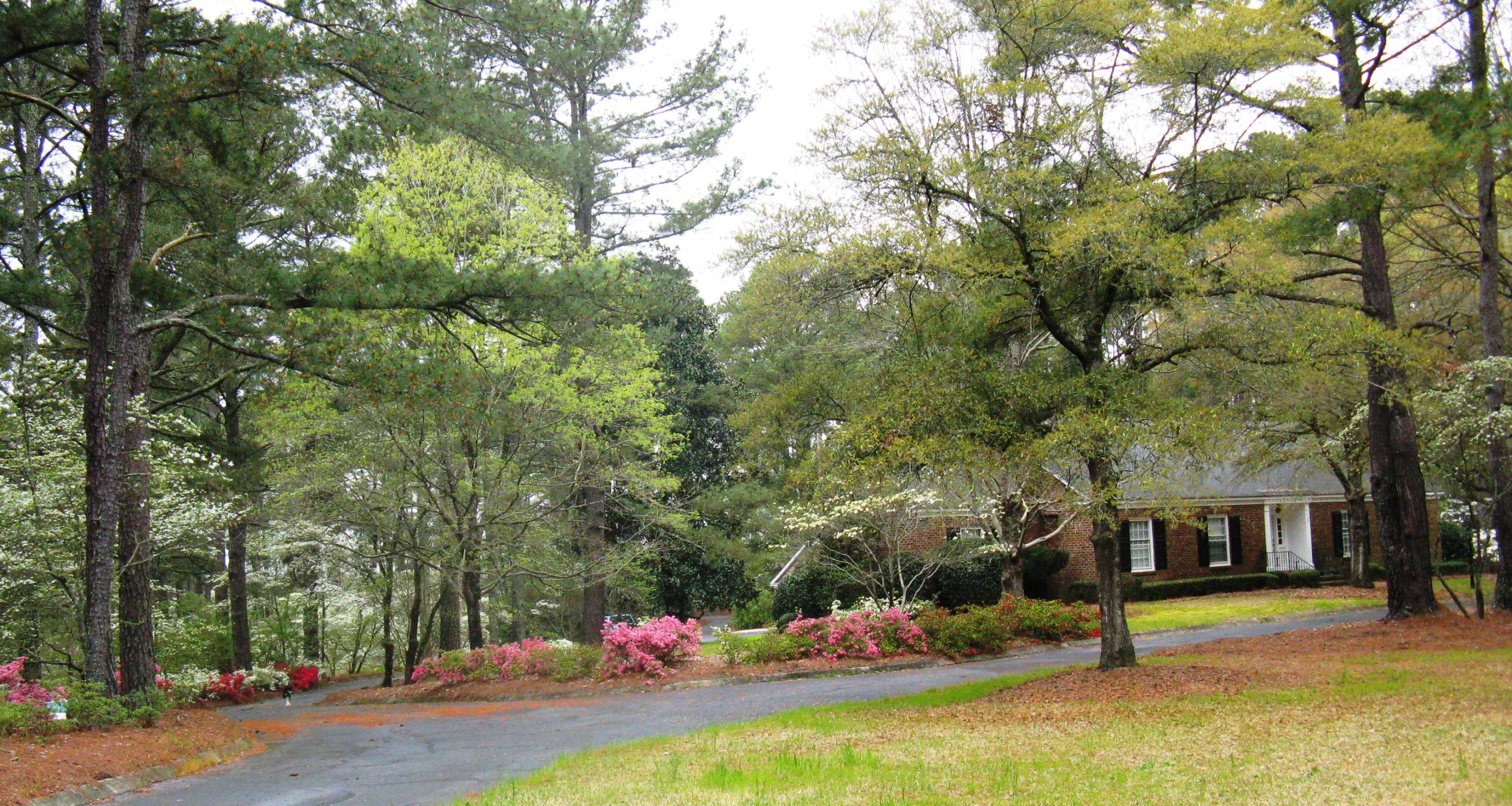 417 Cartledge Creek Road Rockingham, NC 28379 - Photo 4 of 40 IMG_0017