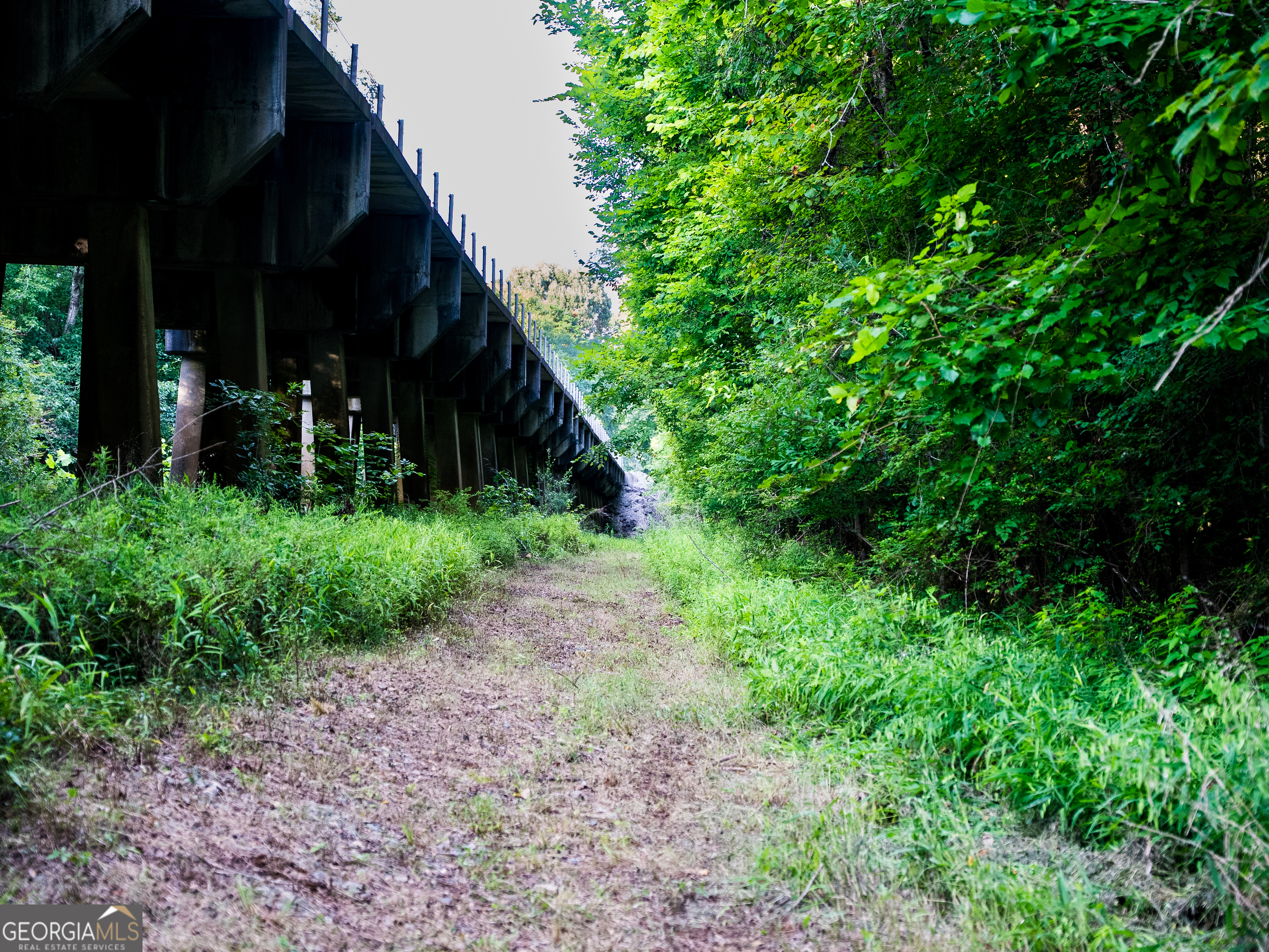 Tbd State Route 26 Road Montezuma, GA 31063 - Photo 43 of 52