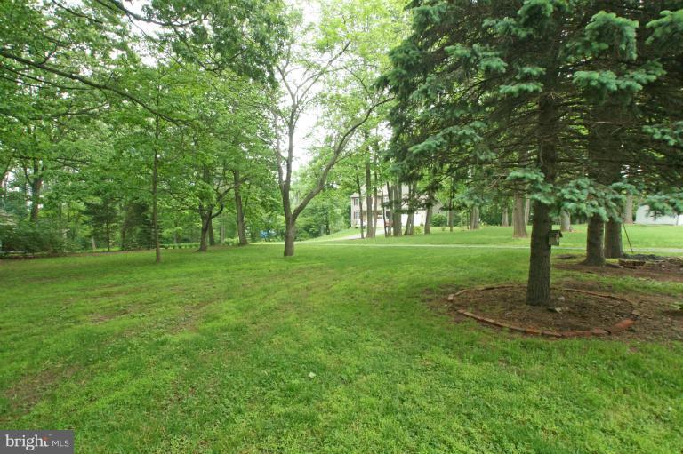 435 Little Egypt Road Elkton, MD 21921 - Photo 4 of 18 Beautiful Acre Yard