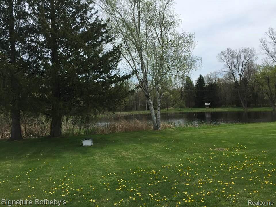 14523 South Duffield Road Byron, MI 48418 - Photo 21 of 26 View to spring fed pond teeming with wildlife