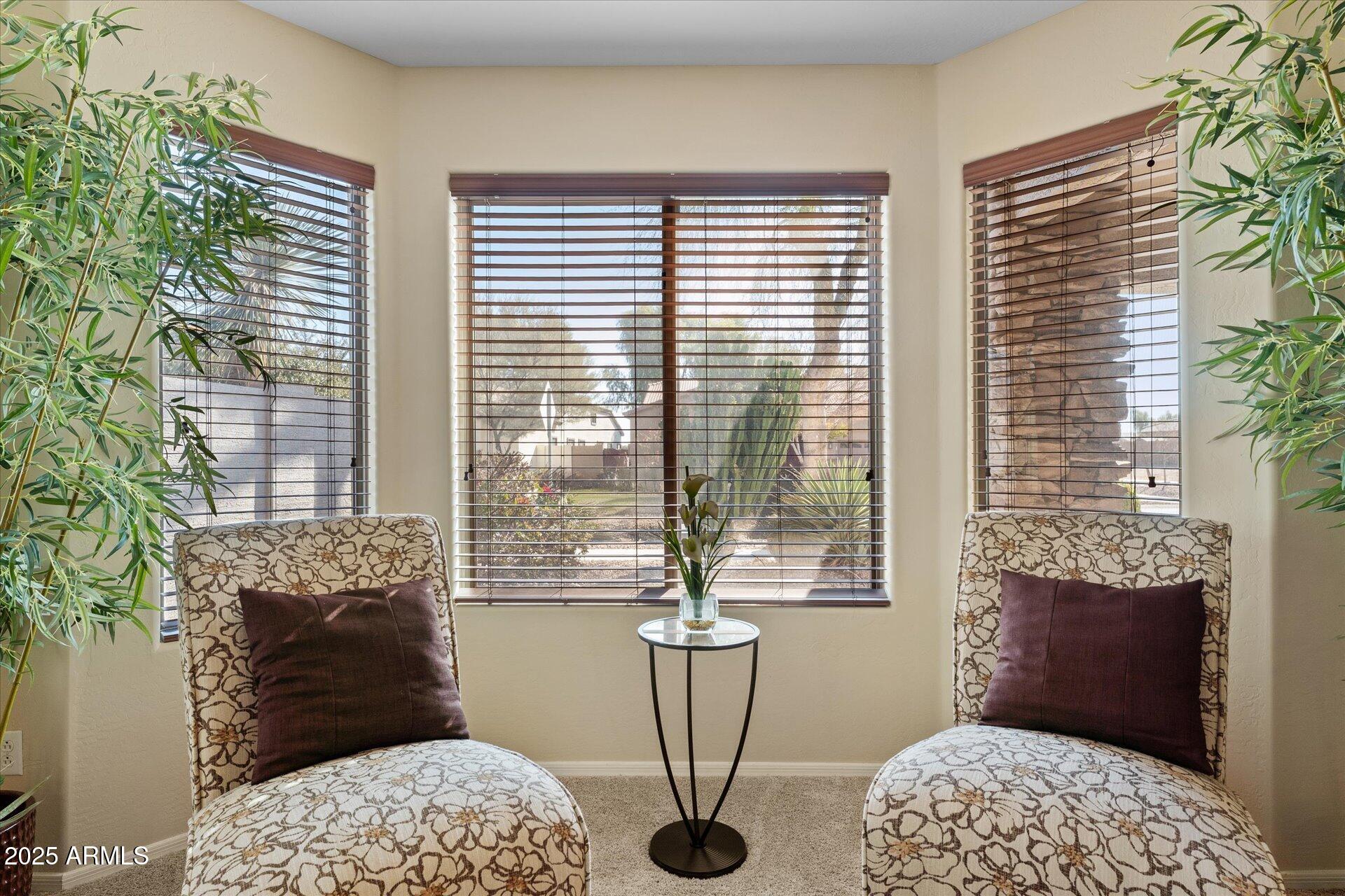 22940 South 213th Street Queen Creek, AZ 85142 - Photo 25 of 52 09-009-living-room