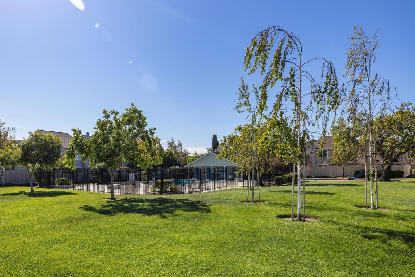 1170 Rickover Lane Foster City, CA 94404 - Photo 39 of 45 a view of a park with large trees