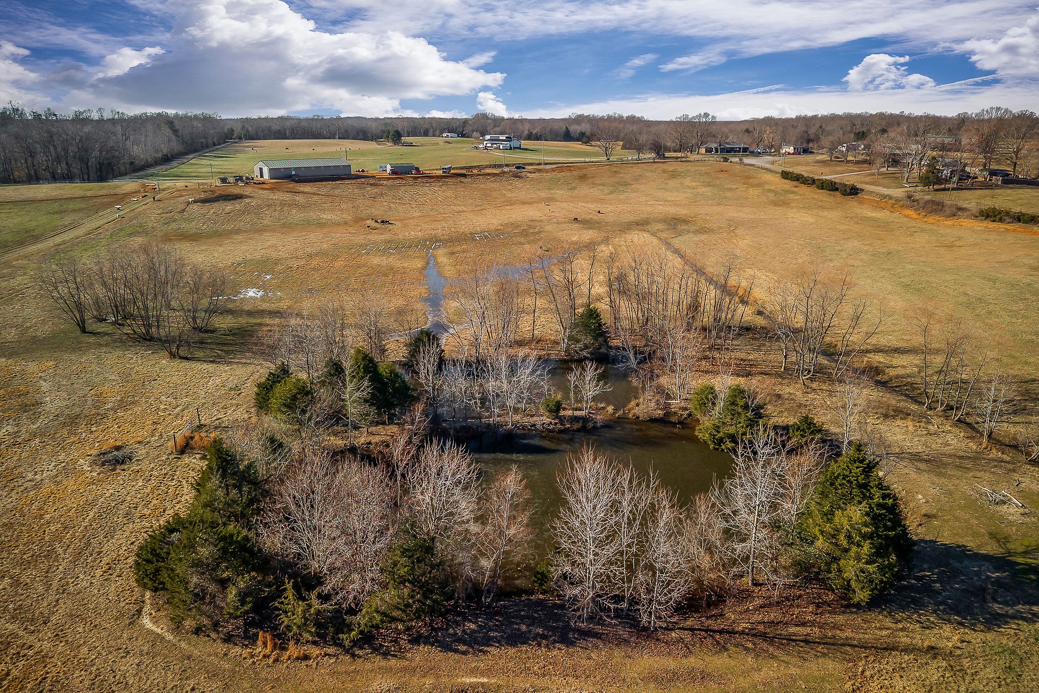 620 Roberts Cemetery Road Walling, TN 38587 - Photo 12 of 31 a view of a lake with houses in the back