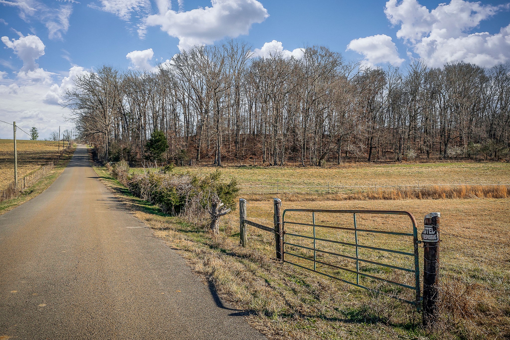 620 Roberts Cemetery Road Walling, TN 38587 - Photo 13 of 31 a view of a bench with wooden fence
