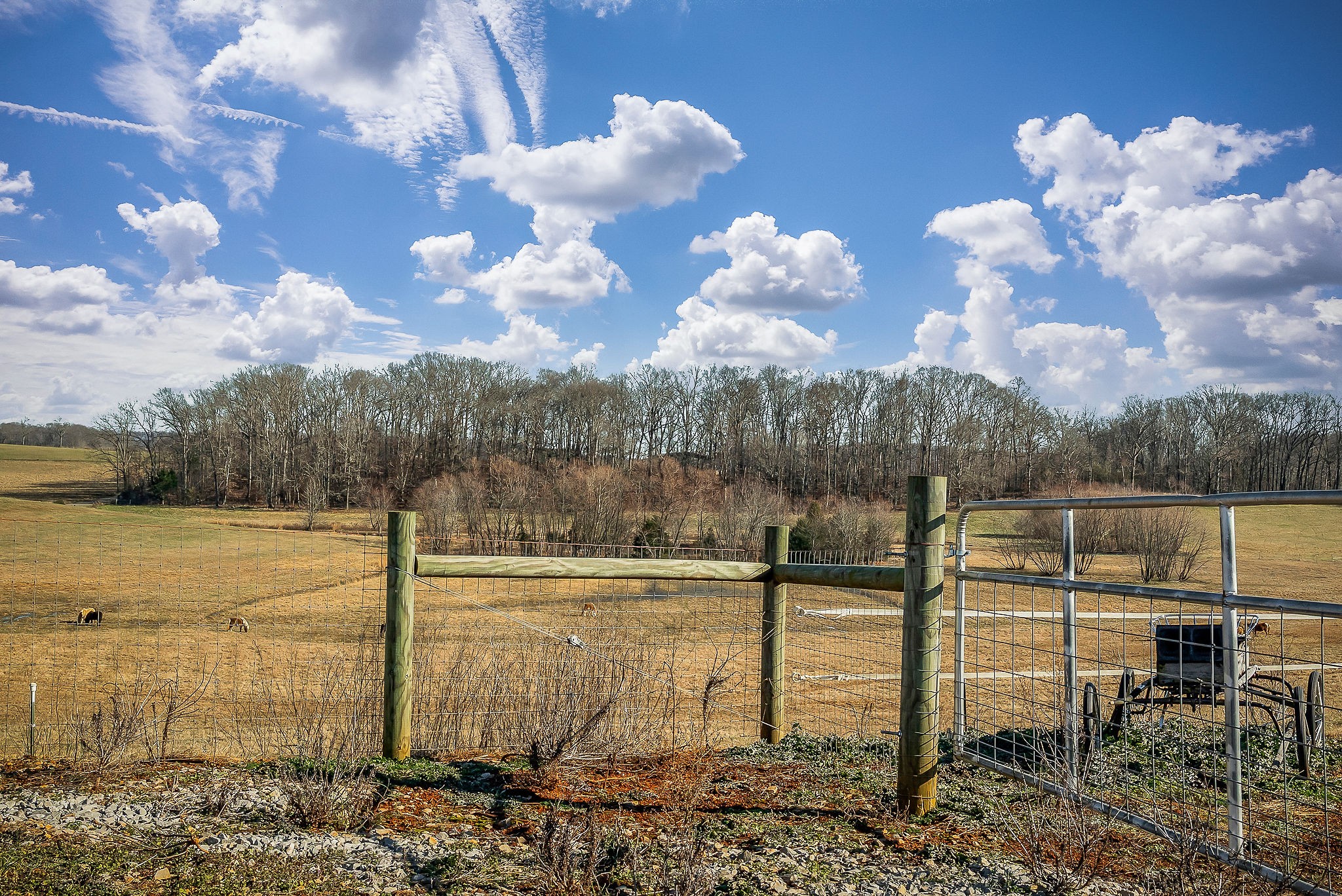 620 Roberts Cemetery Road Walling, TN 38587 - Photo 14 of 31 a view of a lake with a yard