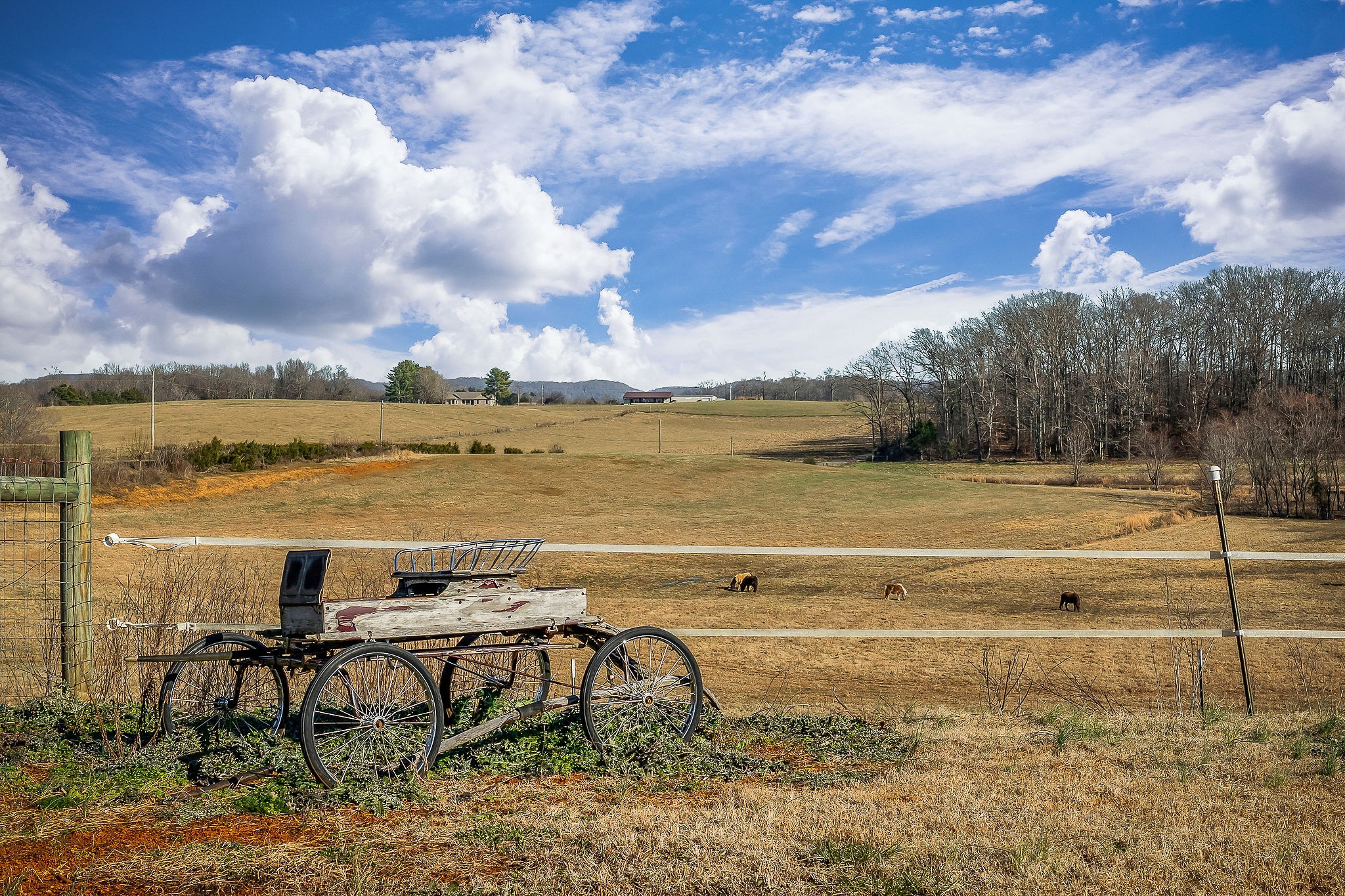 620 Roberts Cemetery Road Walling, TN 38587 - Photo 15 of 31 a view of an ocean and beach