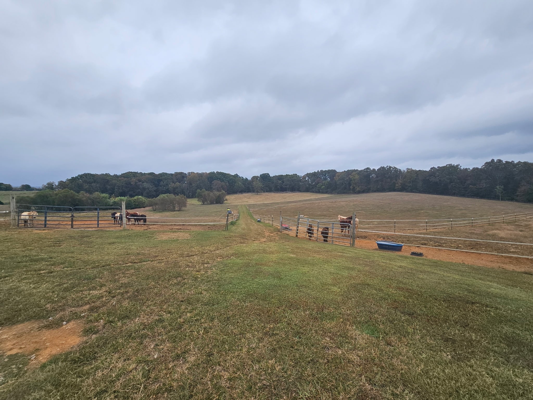 620 Roberts Cemetery Road Walling, TN 38587 - Photo 22 of 31 a view of a lake with houses in the back