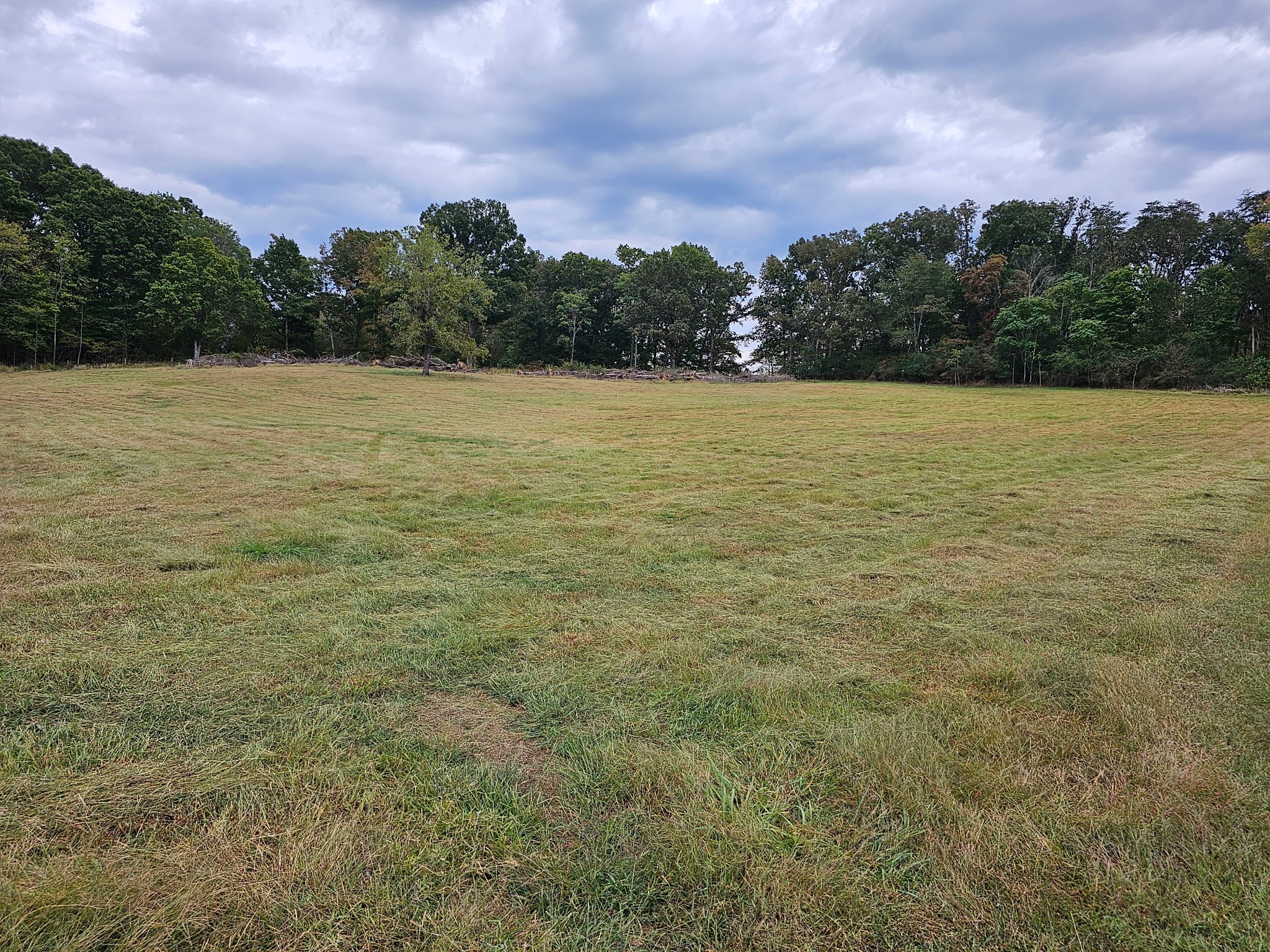 620 Roberts Cemetery Road Walling, TN 38587 - Photo 23 of 31 a view of a lake