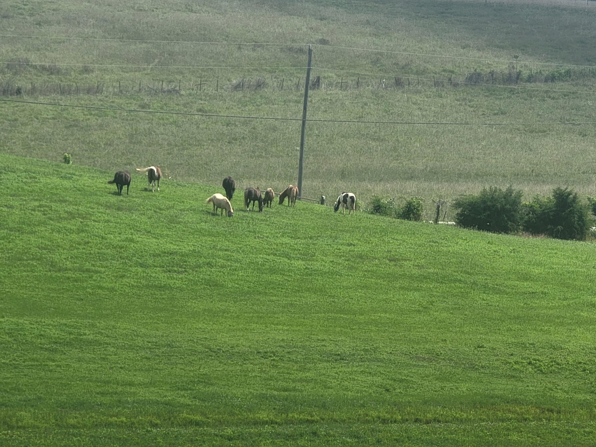 620 Roberts Cemetery Road Walling, TN 38587 - Photo 24 of 31 a view of a bench in a field