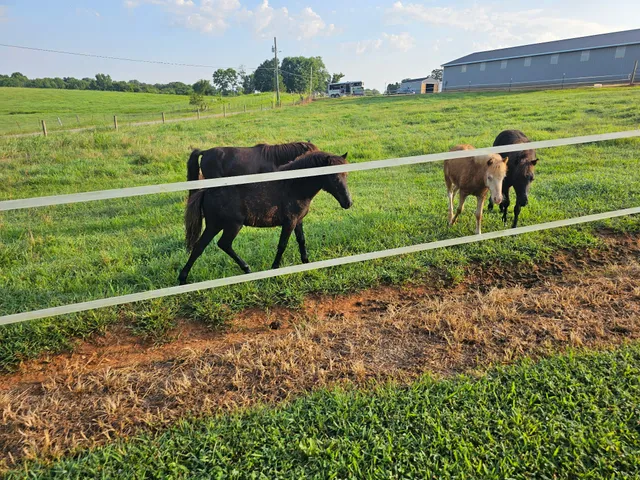 $530,000 | 620 Roberts Cemetery Road, Walling, TN 38587