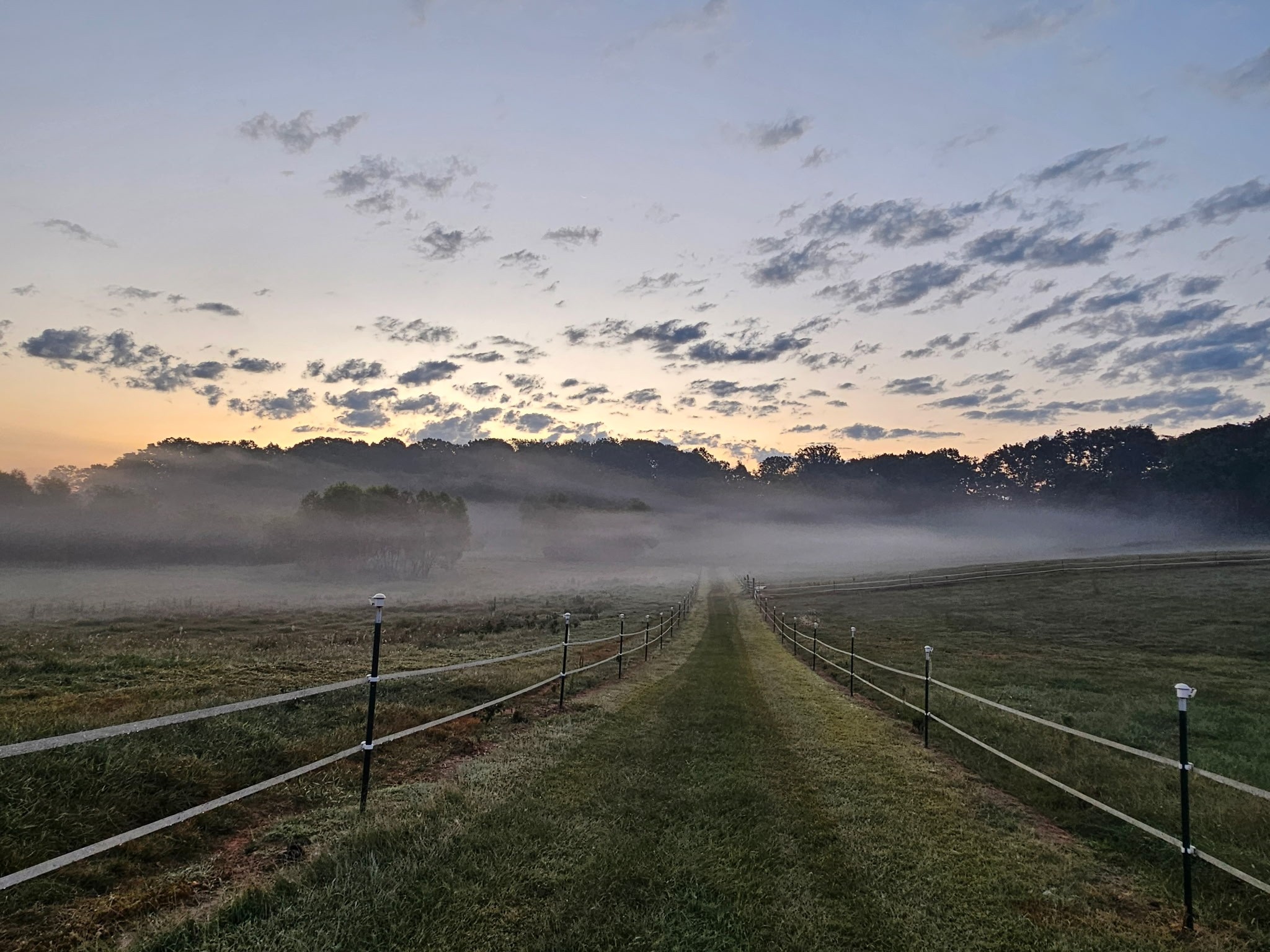 620 Roberts Cemetery Road Walling, TN 38587 - Photo 31 of 31 a view of lake with mountain
