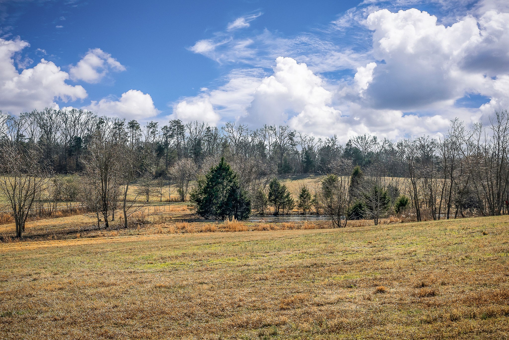 620 Roberts Cemetery Road Walling, TN 38587 - Photo 6 of 31
