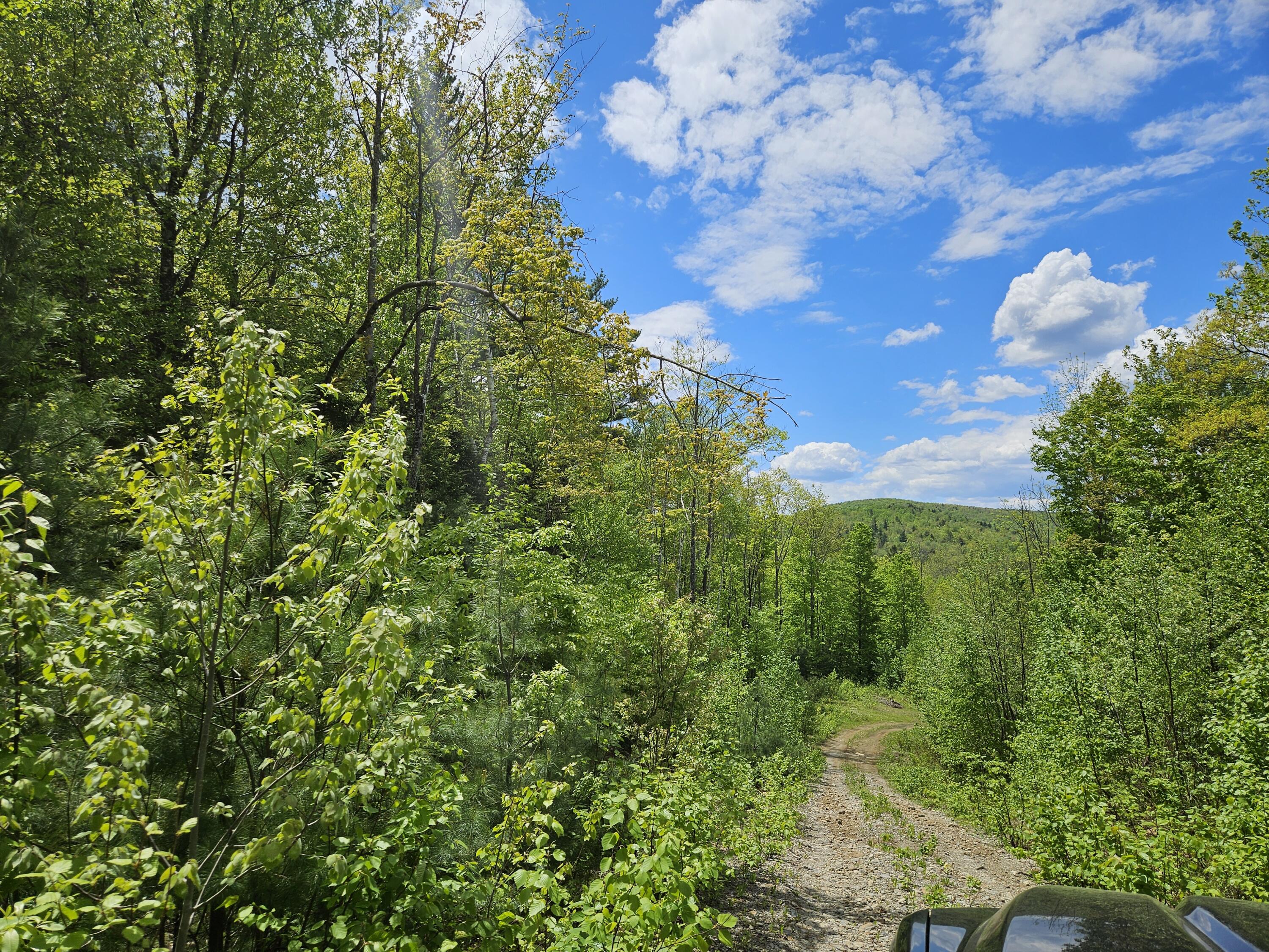 2 Mud Pond Road Madrid Township, ME 04966 - Photo 40 of 42 Madrid Lot