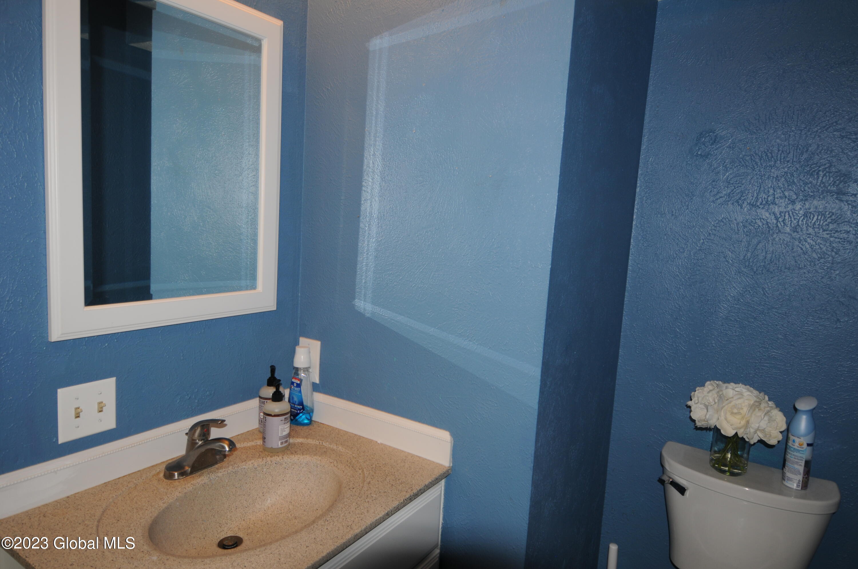 36 Carriage Road Clifton Park, NY 12065 - Photo 8 of 11 DSC_6181