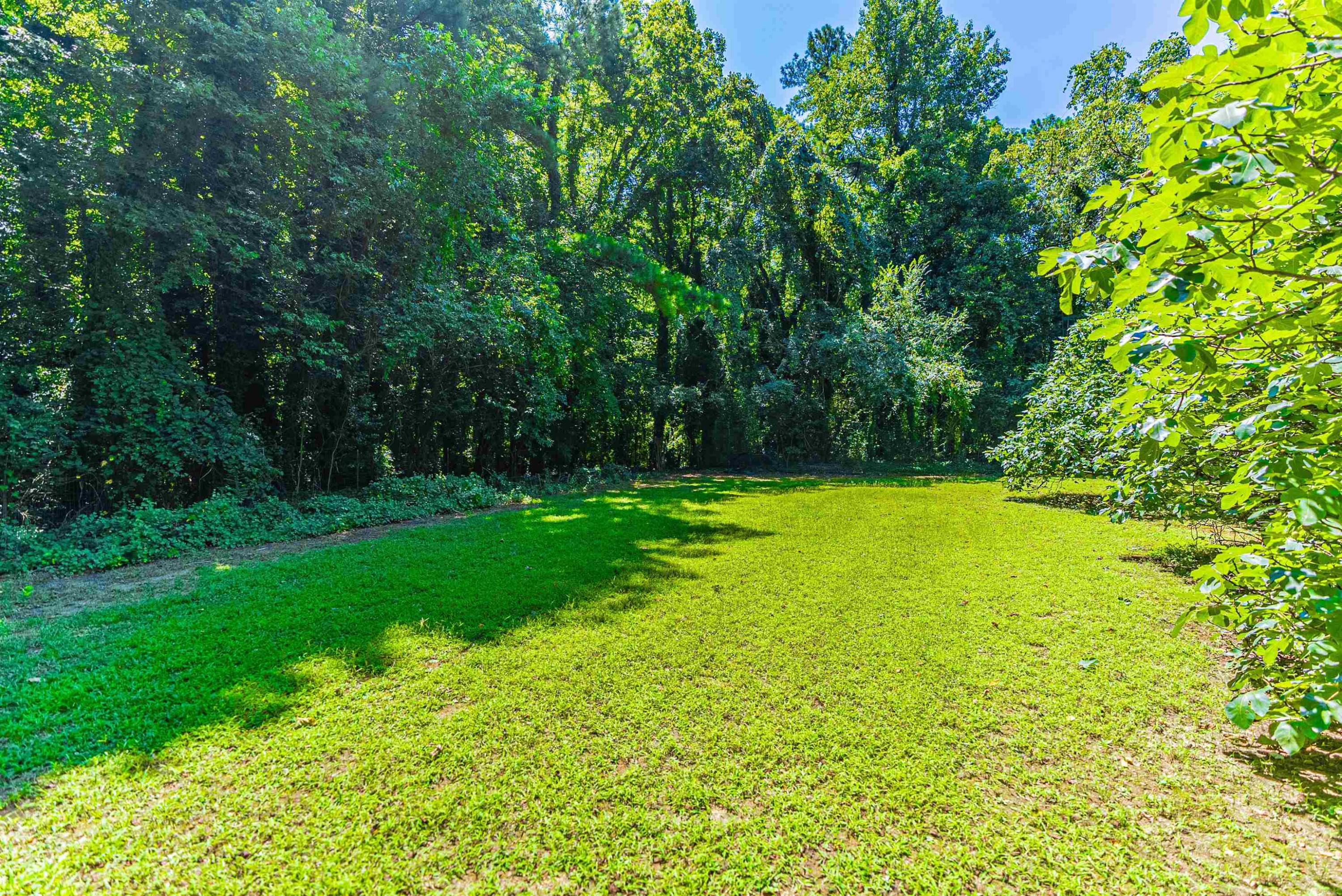 457 Rose Lane Raleigh, NC 27610 - Photo 22 of 26 Backyard