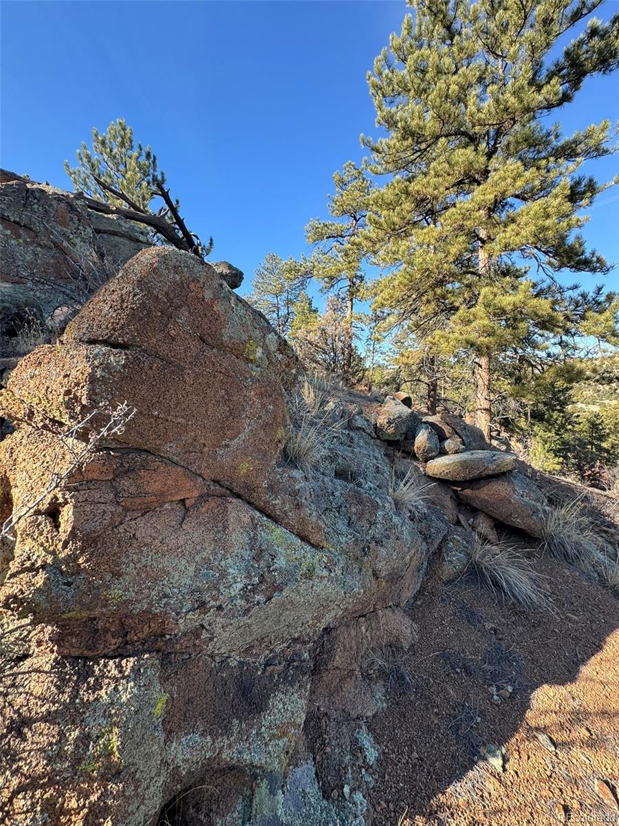 Tr-1 G Path Cotopaxi, CO 81223 - Photo 3 of 6 a view of a backyard of the house