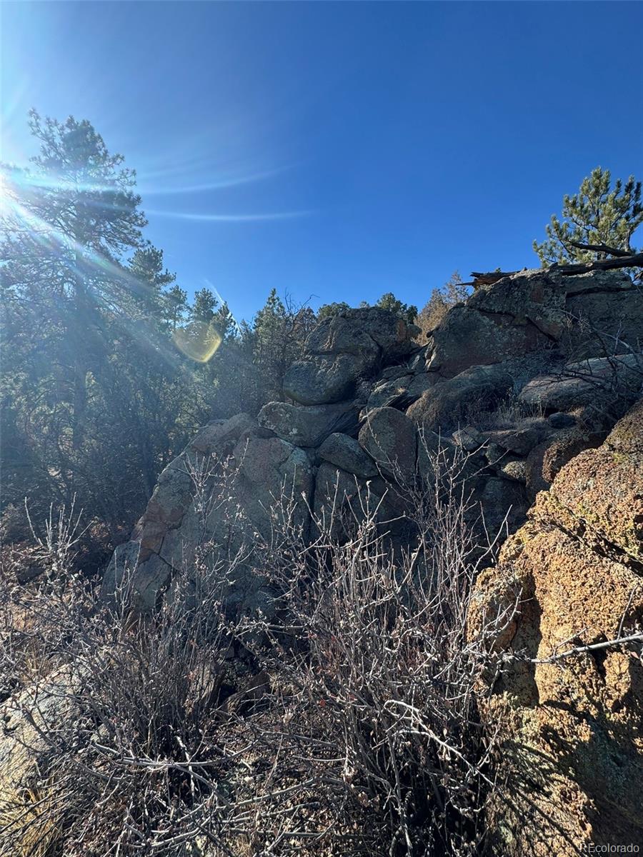 Tr-1 G Path Cotopaxi, CO 81223 - Photo 4 of 6 a view of a dry yard with wooden fence