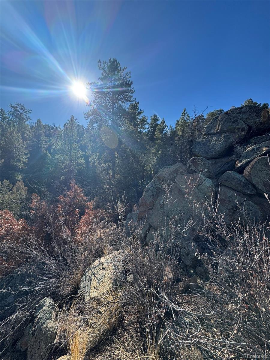 Tr-1 G Path Cotopaxi, CO 81223 - Photo 5 of 6 a view of a dry yard with green space