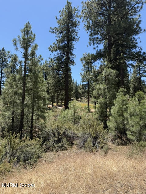 195 Walton Toll Road, Unit 210 Carson City, NV 89705 - Photo 2 of 41 Homesite 210