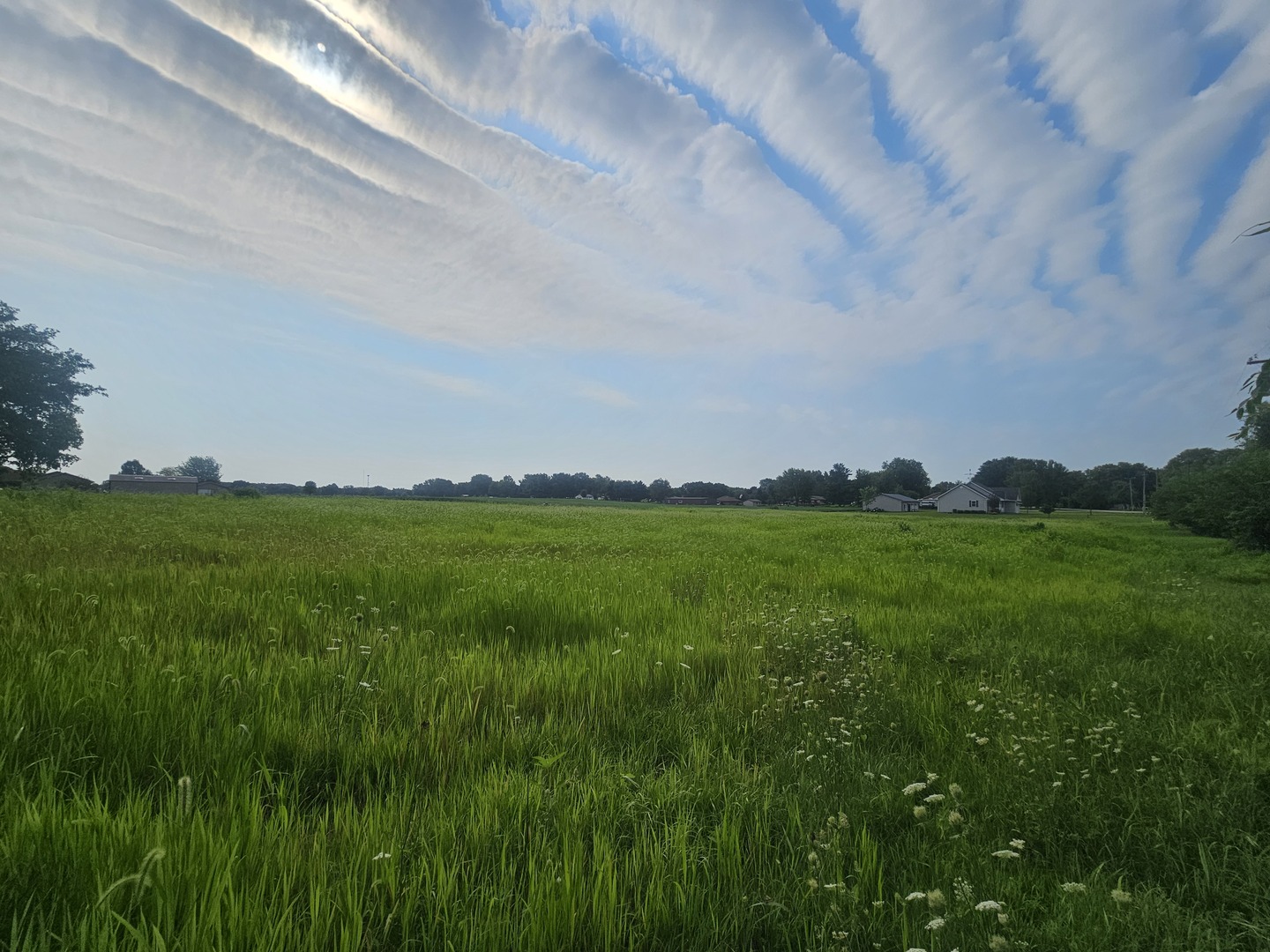 a view of garden with ocean