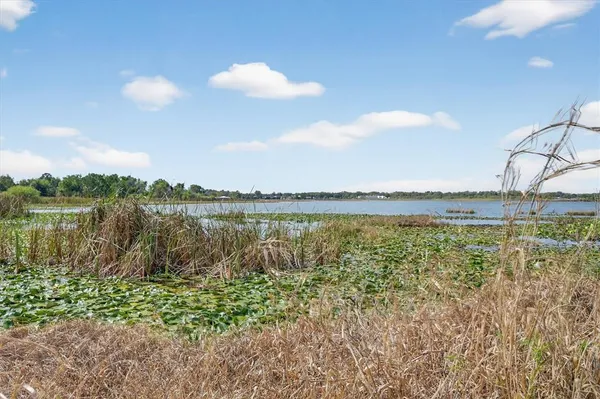 a view of a field with plants and trees