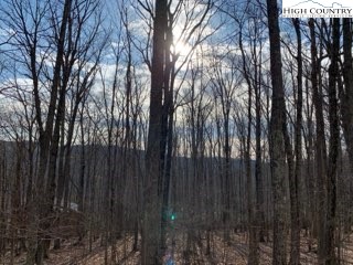 821 Pine Ridge Road Beech Mountain, NC 28604 - Photo 36 of 38