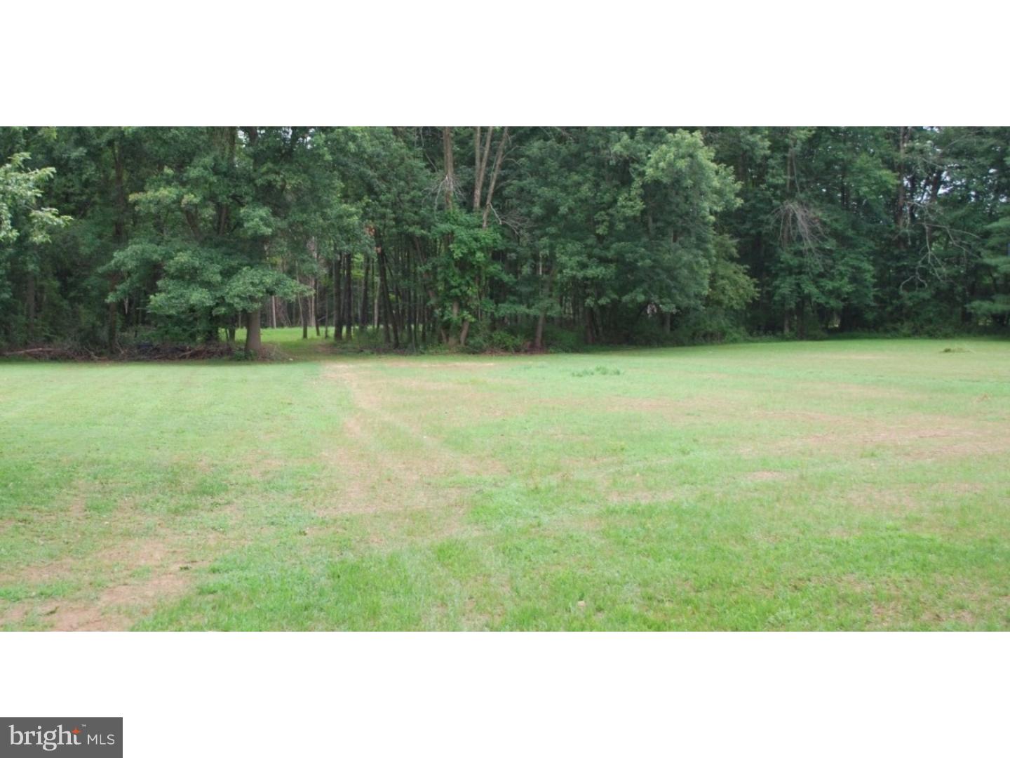 3173 Bristol Road Doylestown, PA 18901 - Photo 5 of 6 Side Yard