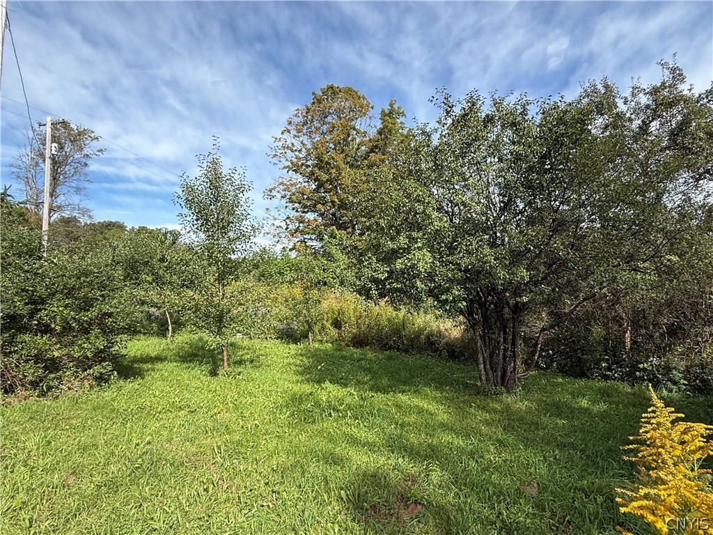 660 Lake Como Road Summerhill, NY 13045 - Photo 19 of 28 Gallery Image 19