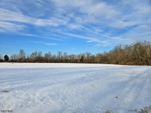a view of an open space with mountain view