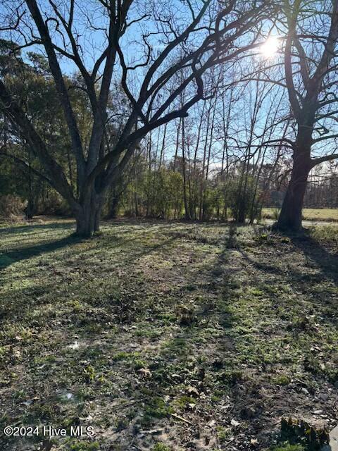 249 Ottis Miller Road Beulaville, NC 28518 - Photo 12 of 18 tempImageRWsOVz