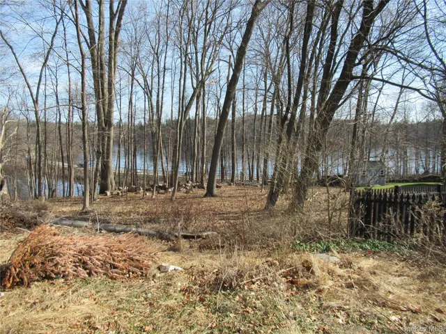 a view of backyard with large trees and wooden fence