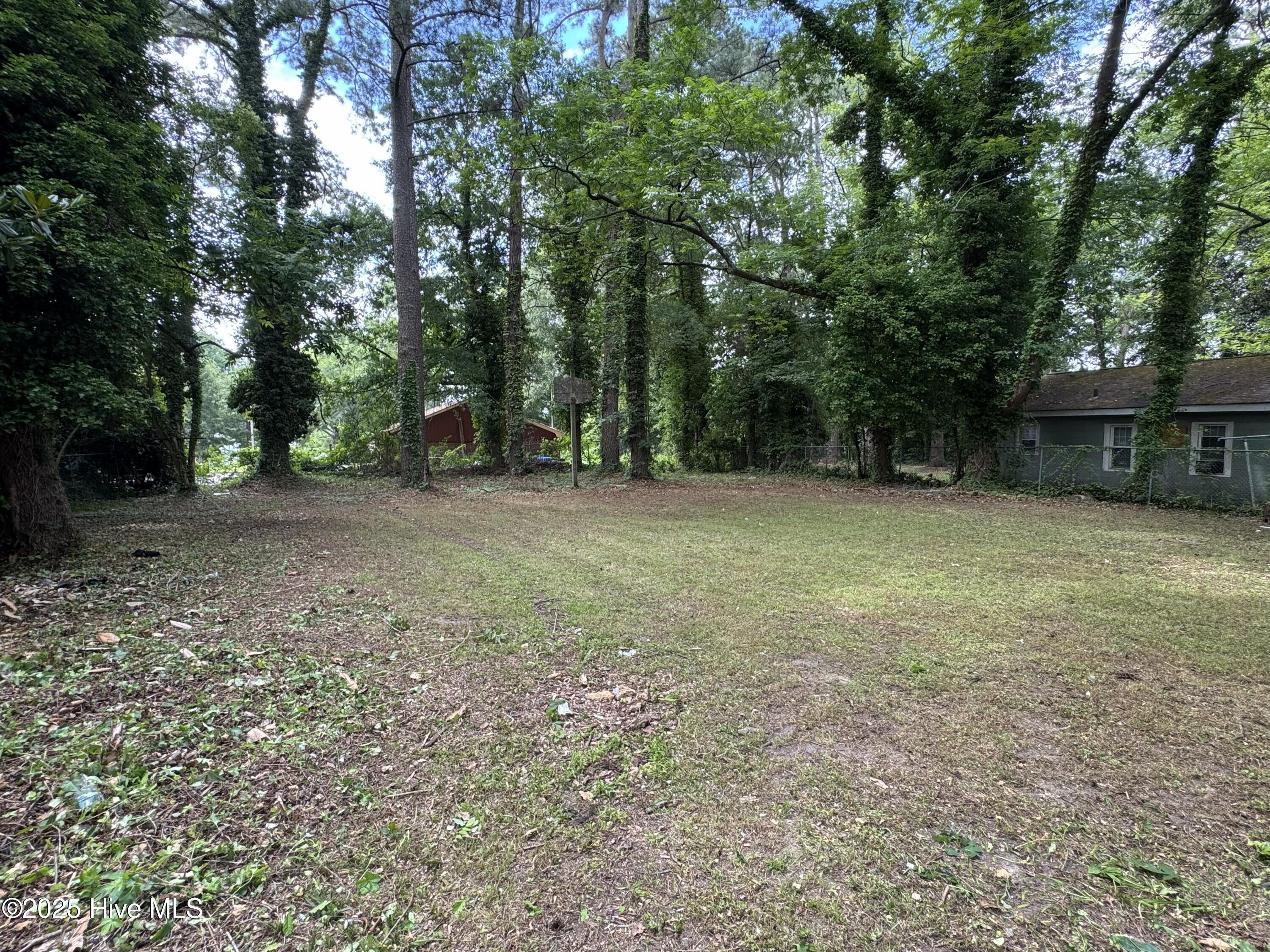 309 Park Avenue West Wilson, NC 27893 - Photo 22 of 22 IMG_1624