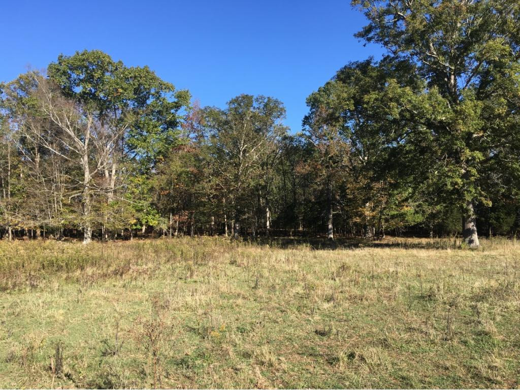 4280 North Mohawk Road Mohawk, TN 37810 - Photo 2 of 3 Photo 2