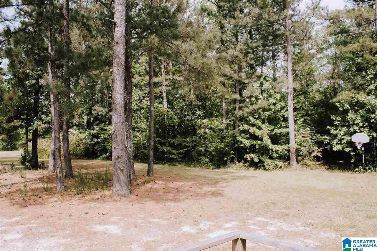 65 Mountainview Road Wellington, AL 36279 - Photo 29 of 37