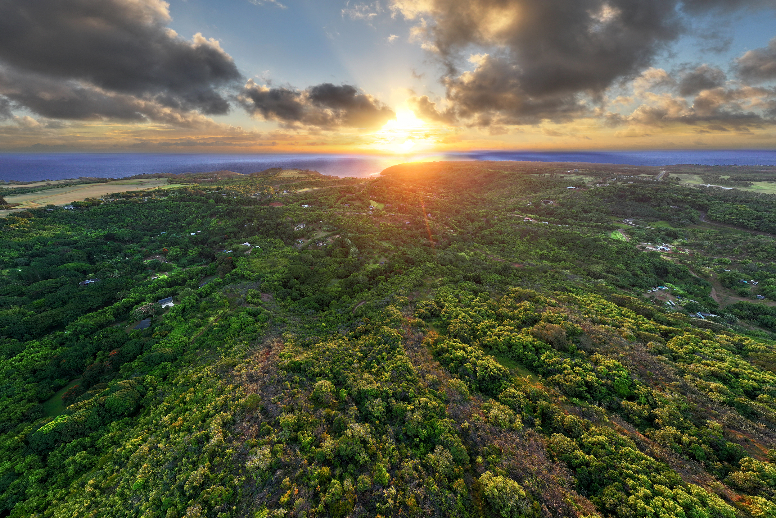 a view of a city and lush green forest