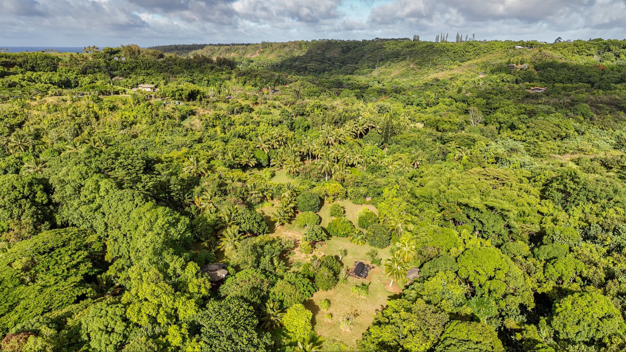 6565 C Koolau Road Kilauea, HI 96754 - Photo 11 of 30 a view of a big yard