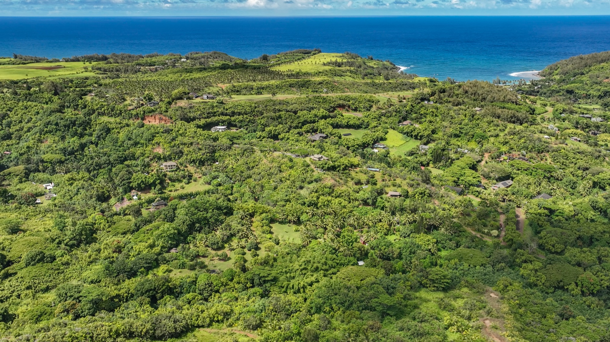 6565 C Koolau Road Kilauea, HI 96754 - Photo 14 of 30 a view of a field with an ocean
