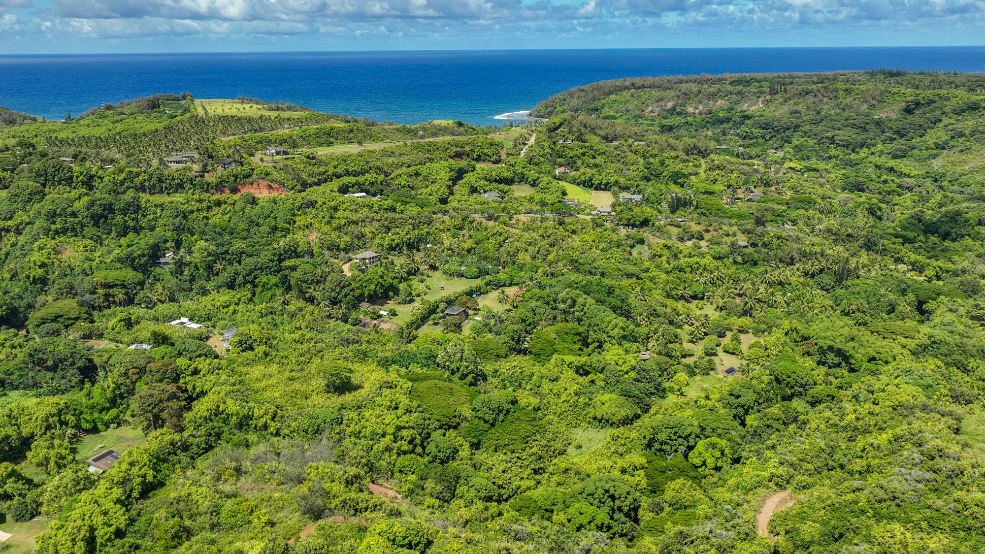 6565 C Koolau Road Kilauea, HI 96754 - Photo 16 of 30 a view of a yard