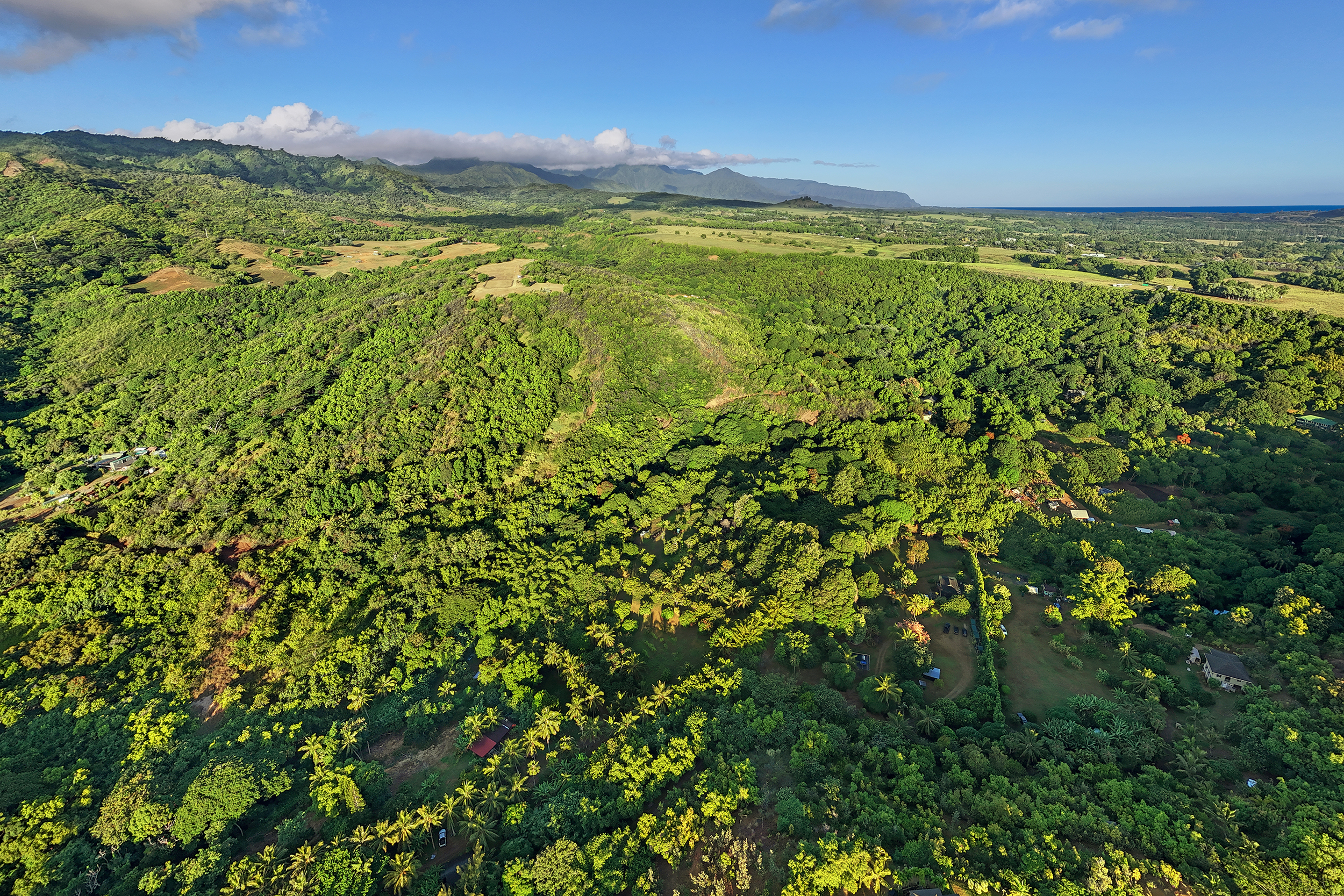 6565 C Koolau Road Kilauea, HI 96754 - Photo 18 of 30 a view of a field with an ocean