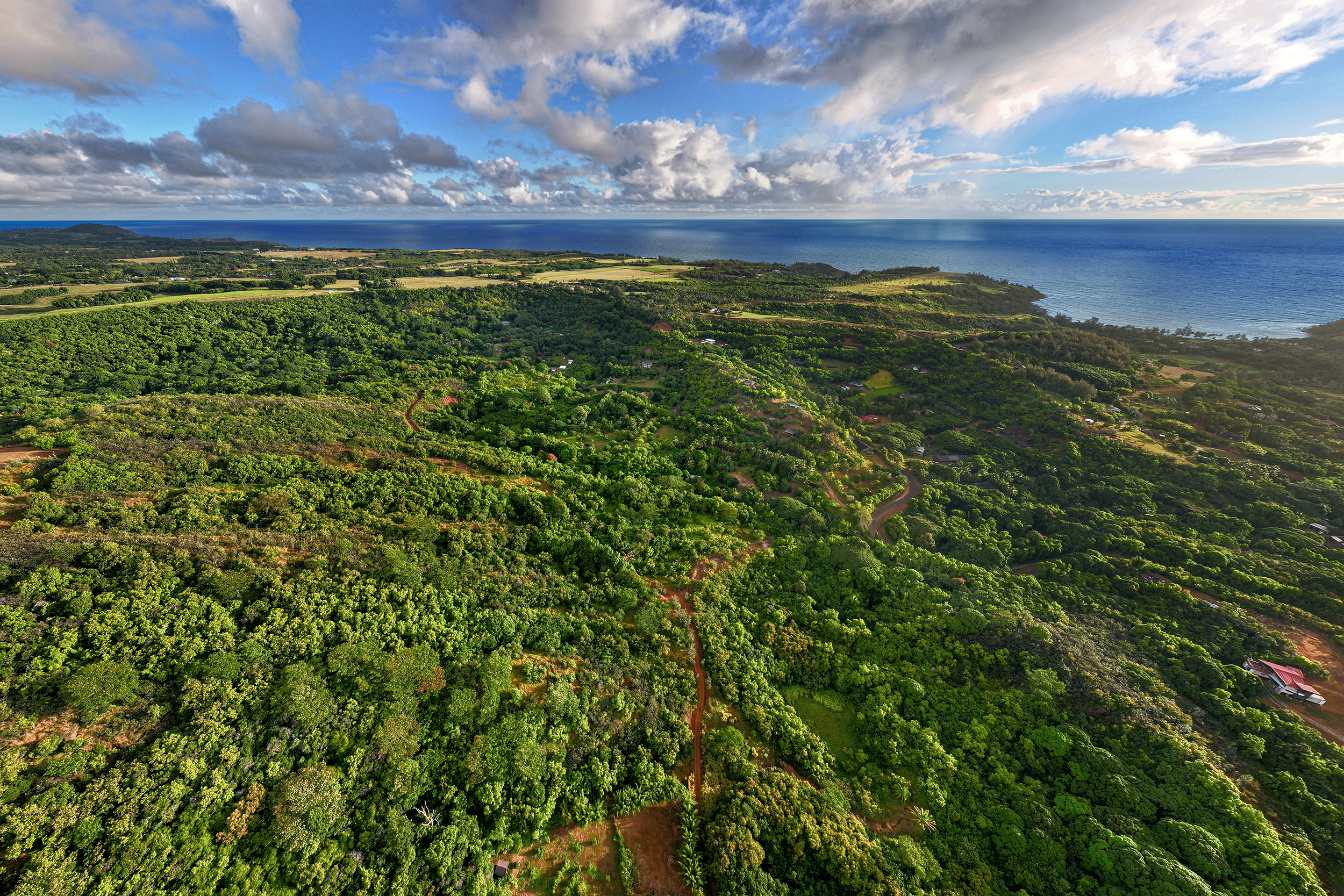 6565 C Koolau Road Kilauea, HI 96754 - Photo 22 of 30 a view of a yard with a lake view