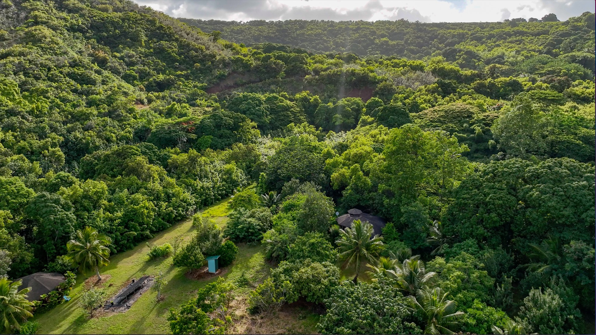 6565 C Koolau Road Kilauea, HI 96754 - Photo 3 of 30 a view of a lush green forest with trees in the background