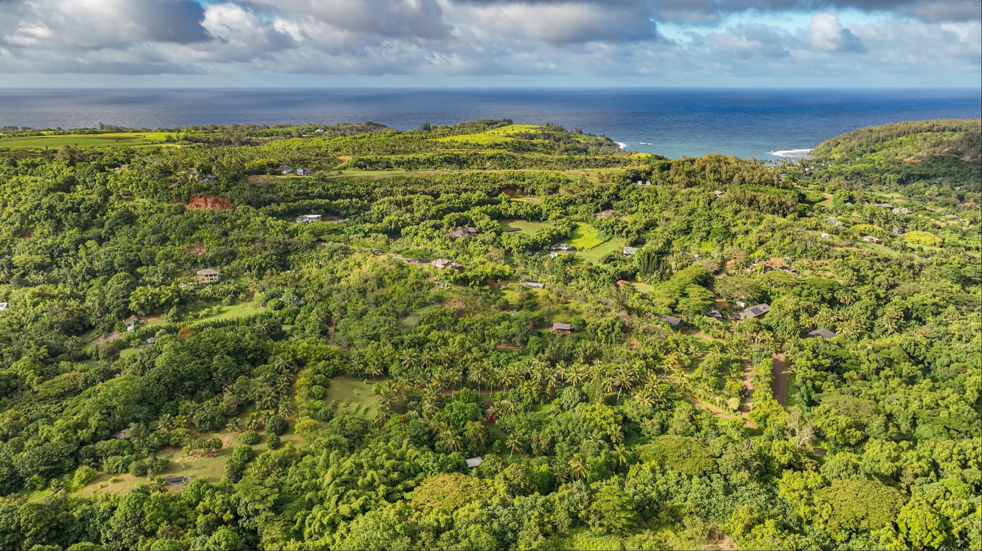 6565 C Koolau Road Kilauea, HI 96754 - Photo 6 of 30 a view of a field