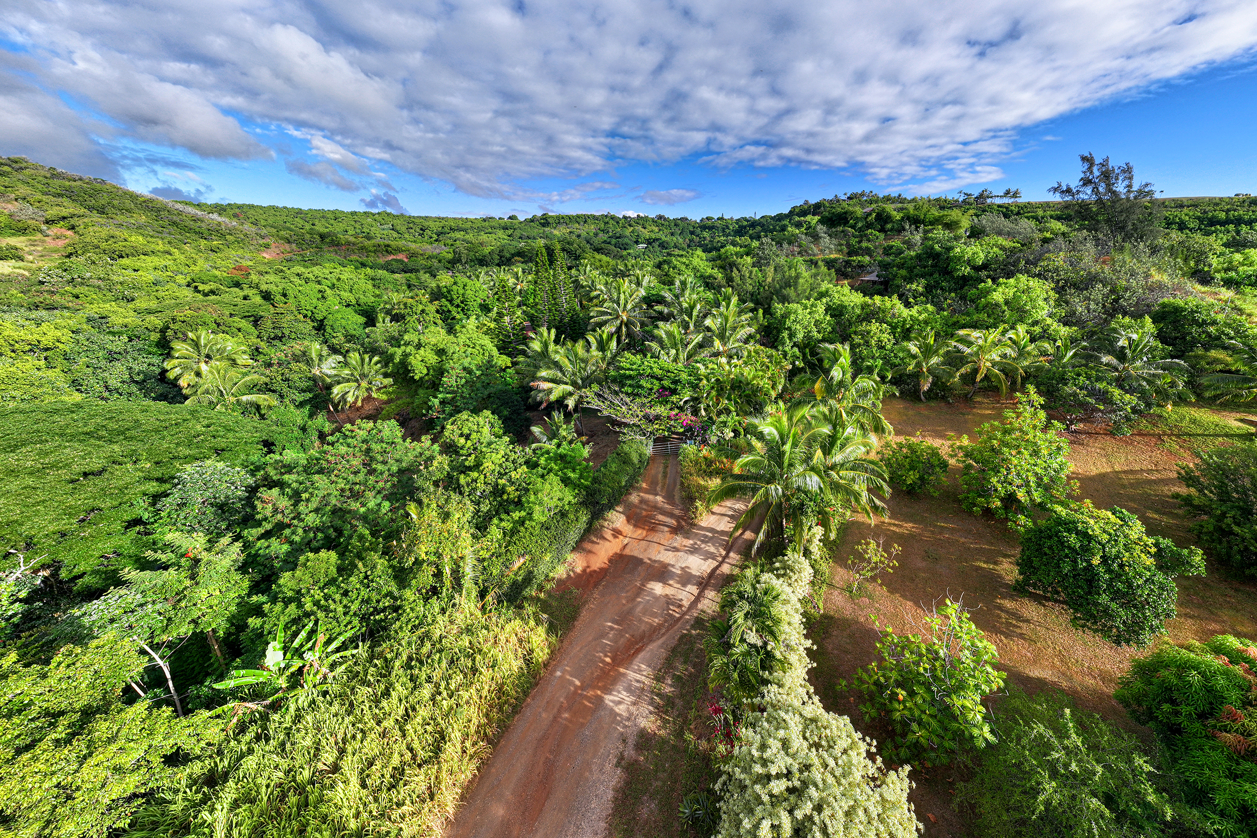6565 C Koolau Road Kilauea, HI 96754 - Photo 8 of 30 a view of a garden