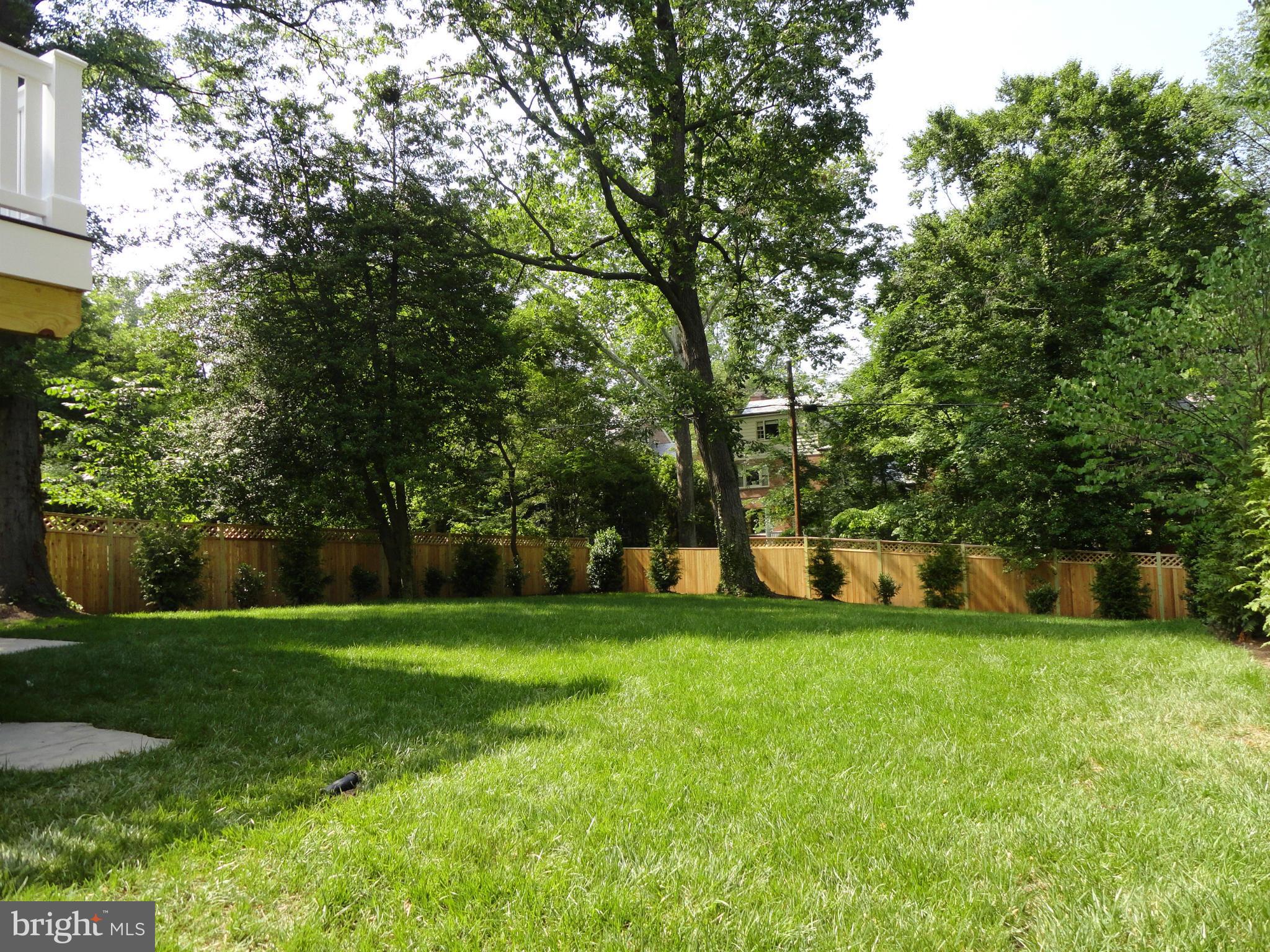 3631 Tilden Street Northwest Washington, DC 20008 - Photo 28 of 29 Exterior (Rear)